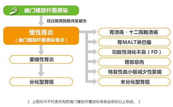 幽门螺旋杆菌