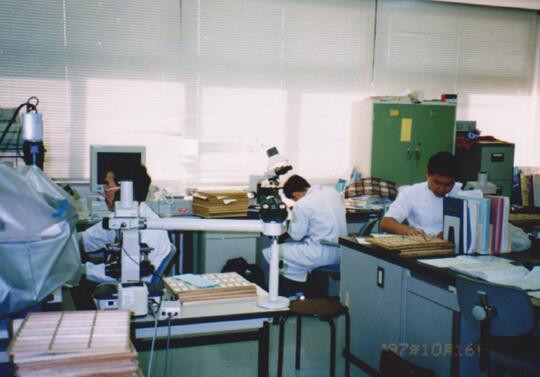 1997年国立癌研究中心中央病院