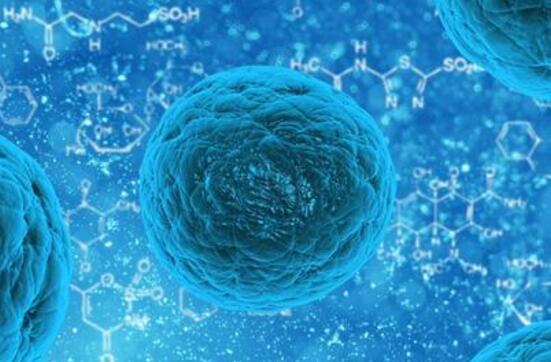 Neoantigen(新生抗原)带来免疫细胞治疗的突破进展
