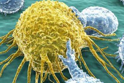 探索复合免疫疗法:新生抗原与免疫检查点抑制剂的联合治疗