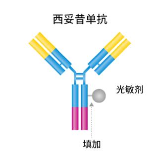 療法 光 免疫