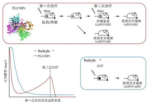 日本东京大学试验成功:光免疫疗法完杀复发乳腺癌