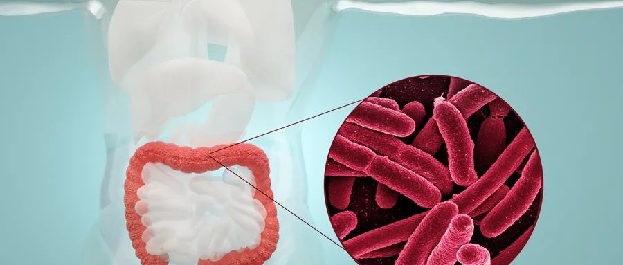 新型肠癌筛查检测登场：多靶点粪便RNA检测优于传统便潜血检测