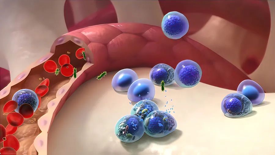 《新英格兰医学杂志》（NEJM）尿路上皮癌：ADC+免疫药物联合或可延长生存期